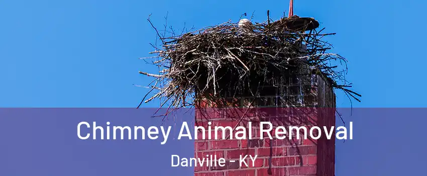 Chimney Animal Removal Danville - KY