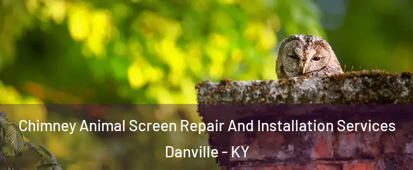  Chimney Animal Screen Repair And Installation Services Danville - KY